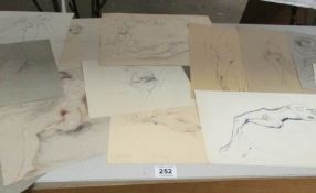 A collection of 'Life' studies from the studio of Franklin White