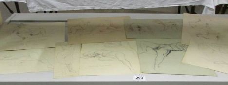 A collection of 'Life' studies from the Franklin White studio
