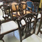 A set of 8  mahogany ball and claw feet chairs