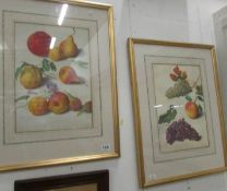 A pair of framed V & A botanical prints