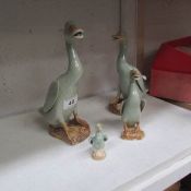 4 graduated pottery ducks