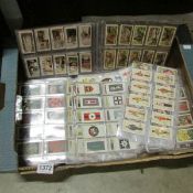 A large quantity of cigarette cards in sleeves