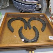 3 old horse shoes in display case