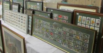 13 framed sets of cigarette cards