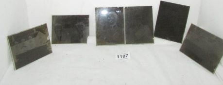 6 glass photo negatives