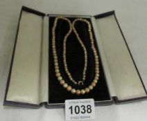 A cases long coloured pearl necklace with 9ct gold clasp