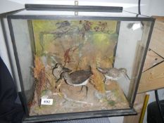 Taxidermy - a cased wading bird tableau