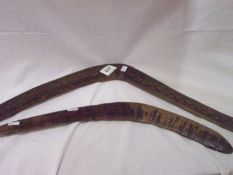 Tribal - 2 Boomerangs