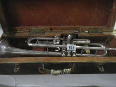 A Savana trumpet in box