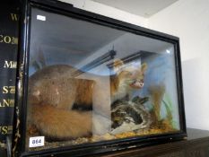 Taxidermy - a cased fox and prey