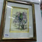 An original watercolour by Cecil Hodgkinson 'Parrot's in Landscape'