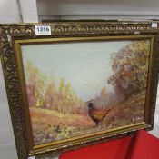 A gilt framed oil painting of a pheasant by R J Scott
