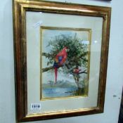 An original watercolour by Cecil Hodgkinson 'Parrot's in Landscape'