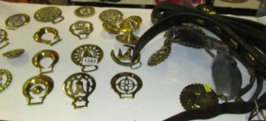 A quantity of old horse brasses, some on leathers
