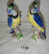 A pair of hard paste porcelain parrots