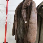 A coney fur coat and a fox stole