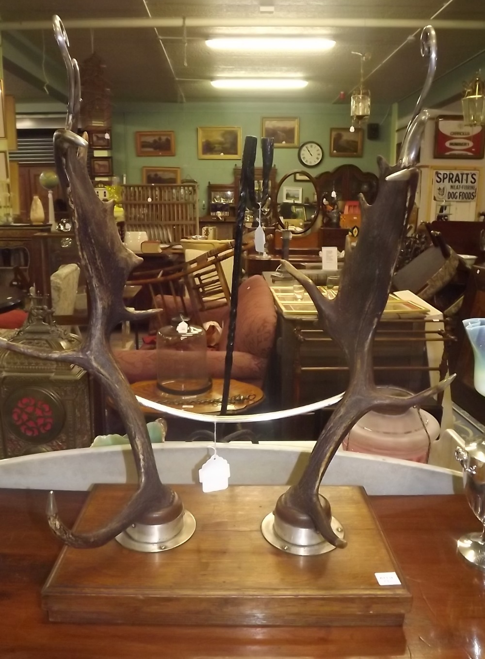 Pair of Victorian deer antlers with silver plated mounts on  an oak plinth.