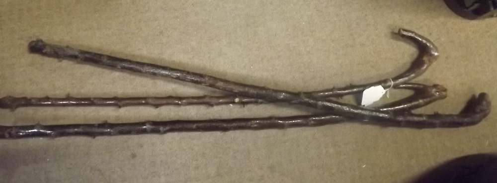 Three blackthorn walking sticks.