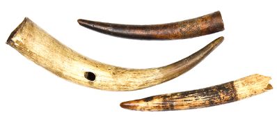 A Zulu cowhorn smoking horn, igudu, 14” (bowl missing), together with two old ivory tusks, one 10”