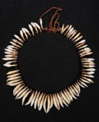 A 19th Century Zulu necklace comprising jackal’s teeth (or similar), diameter 7”, with small red