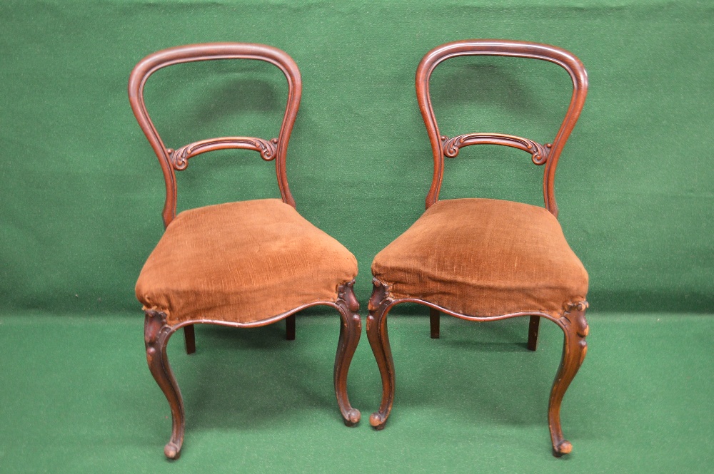 Set of six Victorian mahogany balloon back dining chairs having carved back rails, over stuffed