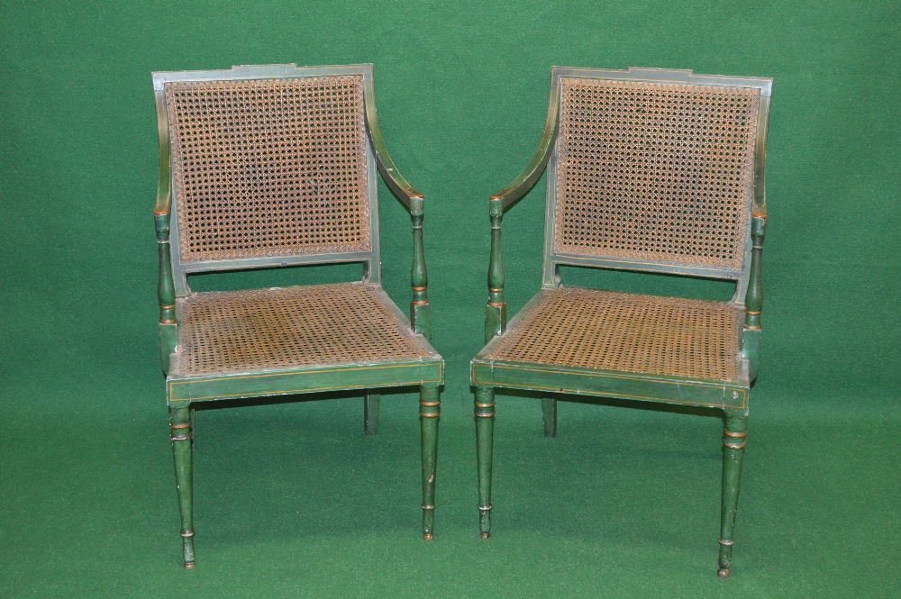 A pair of green painted open armchairs having cane backs and seats supported on turned tapering