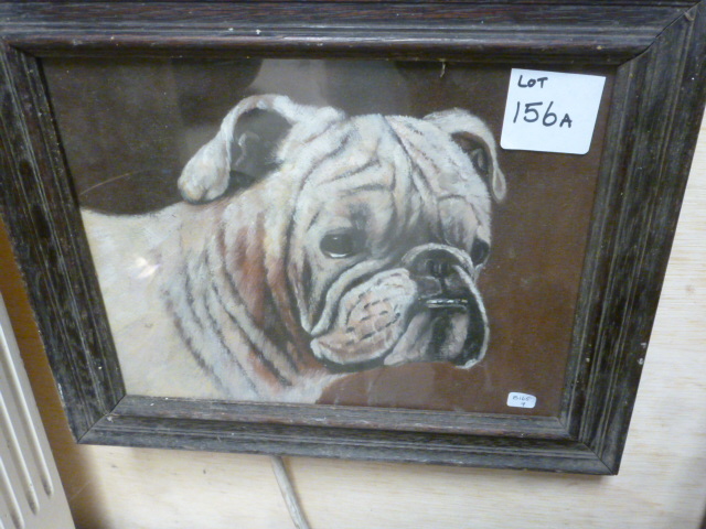 An Oak Framed Oil on Board Study of a Bulldog