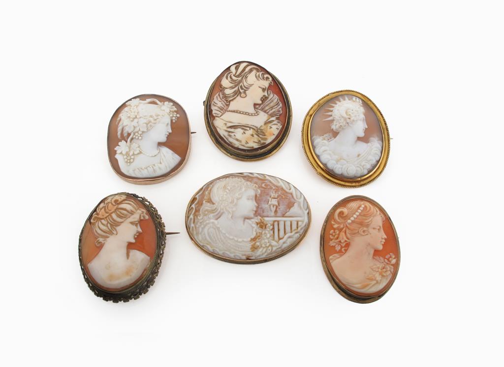 Six assorted shell cameos, depicting various women in profile.