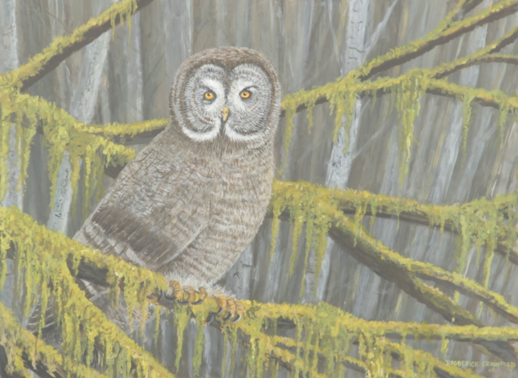 Broderick Crawford (Clayton, Georgia, 20th century) acrylic on board depicting owl amidst tree