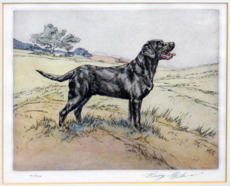 Henry Wilkinson (b. 1921),
A study of a black labrador,
signed and numbered 17/250,
coloured