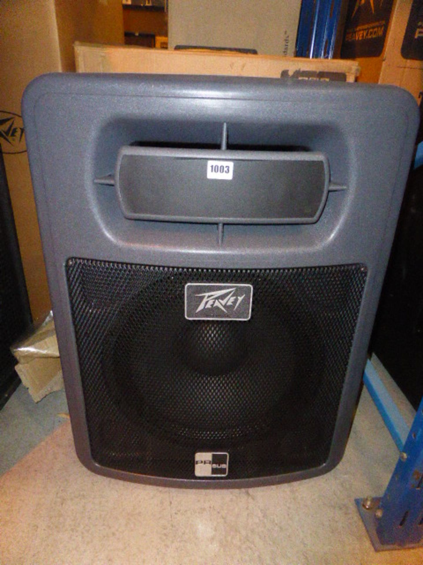 Peavey PR sub