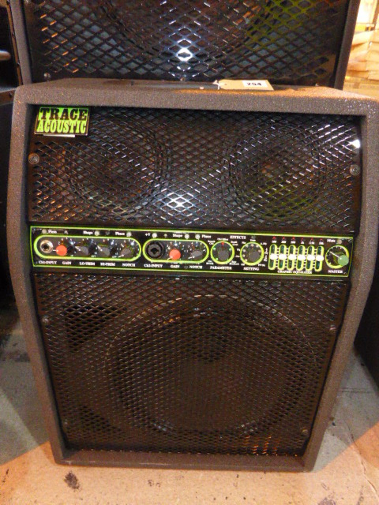 Trace Acoustic TA300 acoustic Guitar amplifier