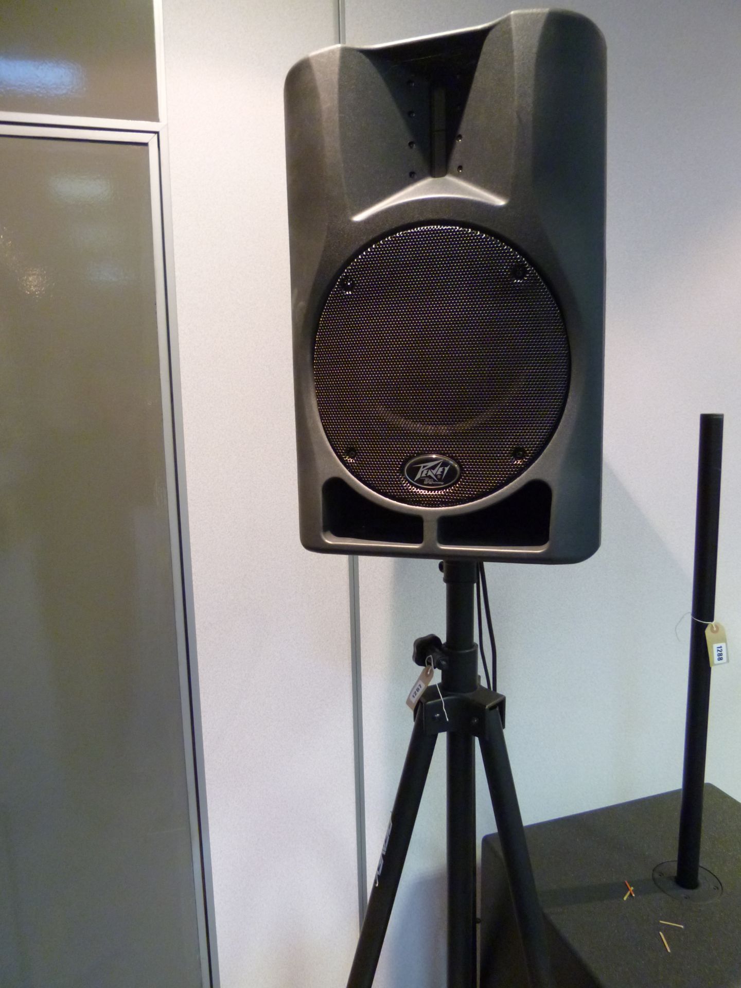 Peavey Impulse 1200 PA speaker on stand