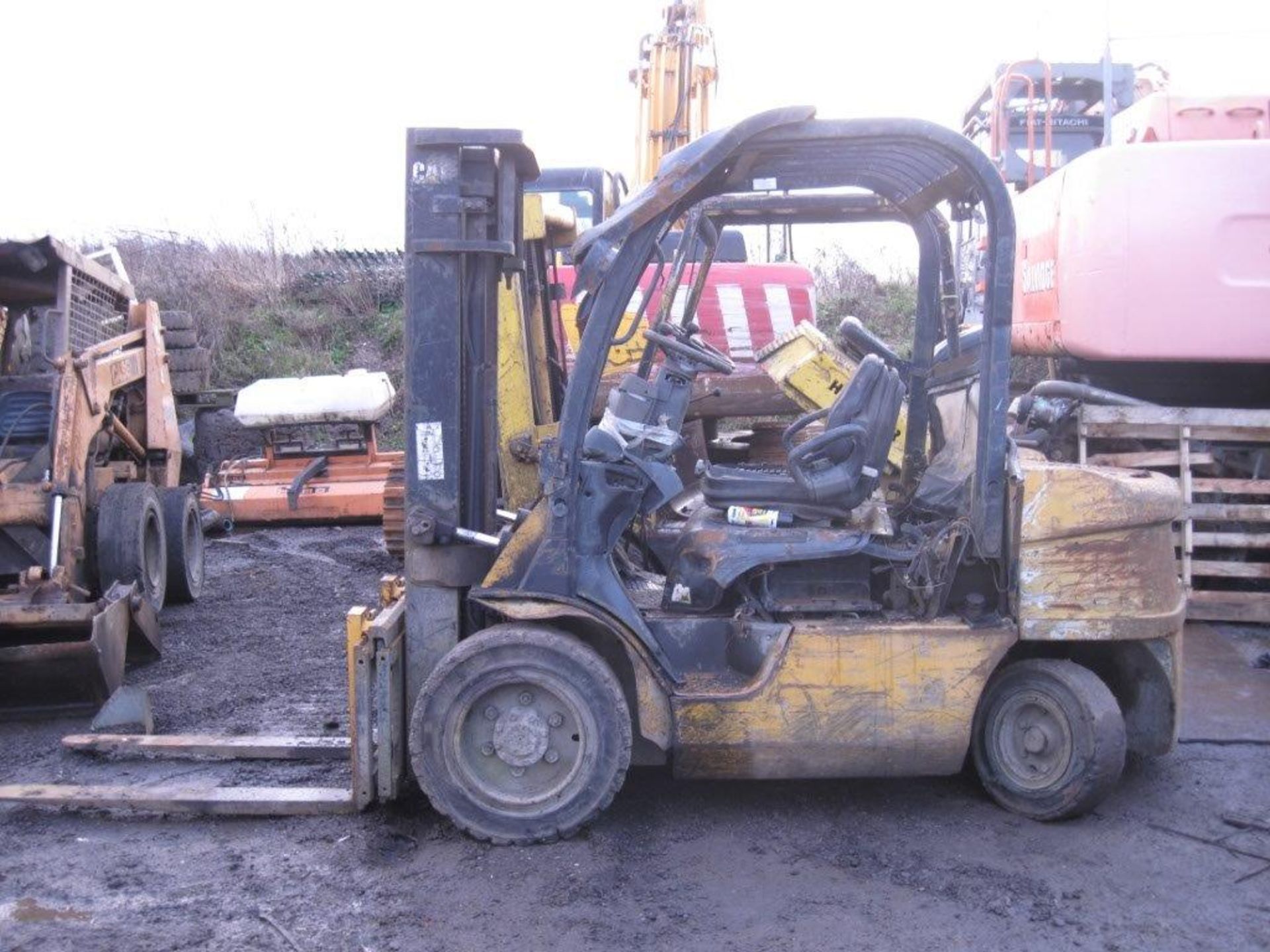 Cat Forklift