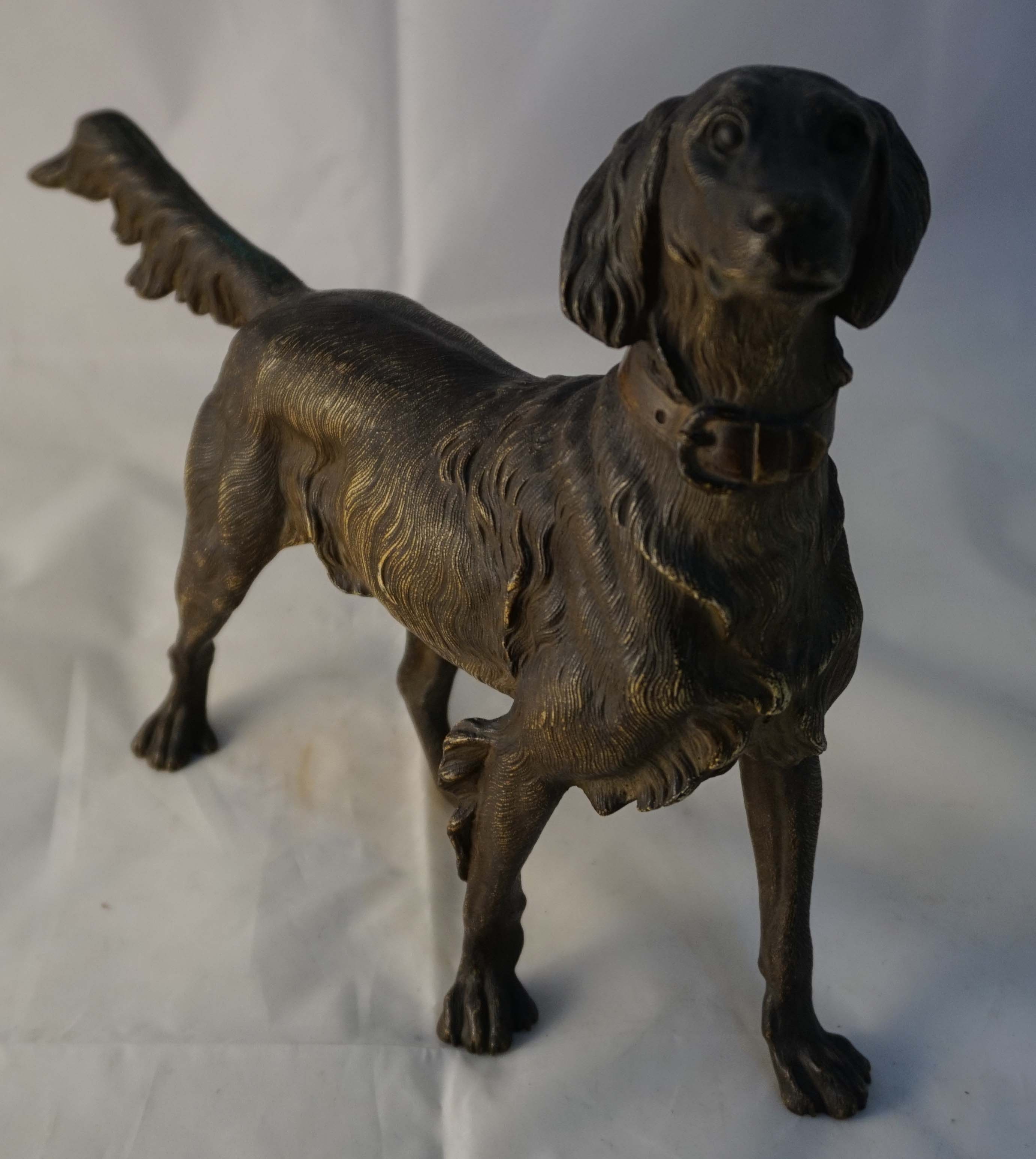 A late 19th century cold painted bronze figure of a setter dog stalking, unsigned, height 24cm (