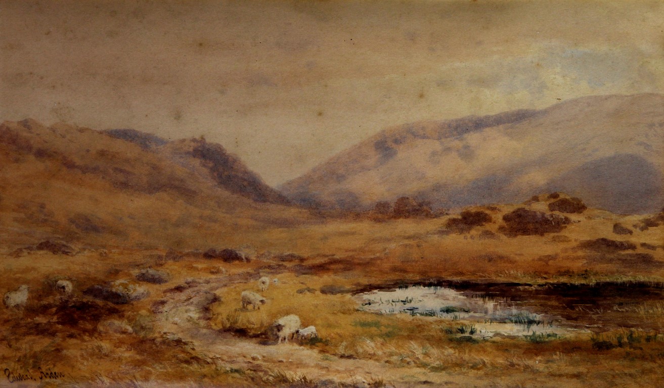 Edward Arden (aka Edward Tucker - British, c. 1847-1910) - 'Sheep in landscape', watercolour,