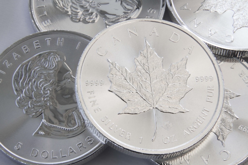 25x CANADIAN MAPLE LEAF 1oz .999 FINE SILVER COINS A tube containing twenty-five 2014 dated one - Image 3 of 3