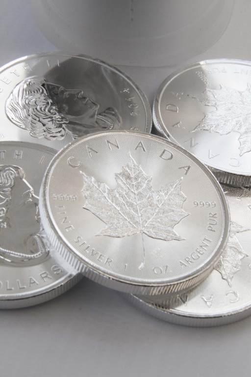 25x CANADIAN MAPLE LEAF 1oz .999 FINE SILVER COINS A tube containing twenty-five 2014 dated one - Image 2 of 3