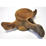 A whale vertebrae. CONDITION REPORT Width 24cm at widest point, height 11.5cm.