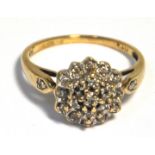 A 9ct gold diamond cluster ring, size P,