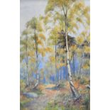 TOM DAVIES; watercolour, woodland scene with path, signed and dated 1906, 73 x 47cm, framed and