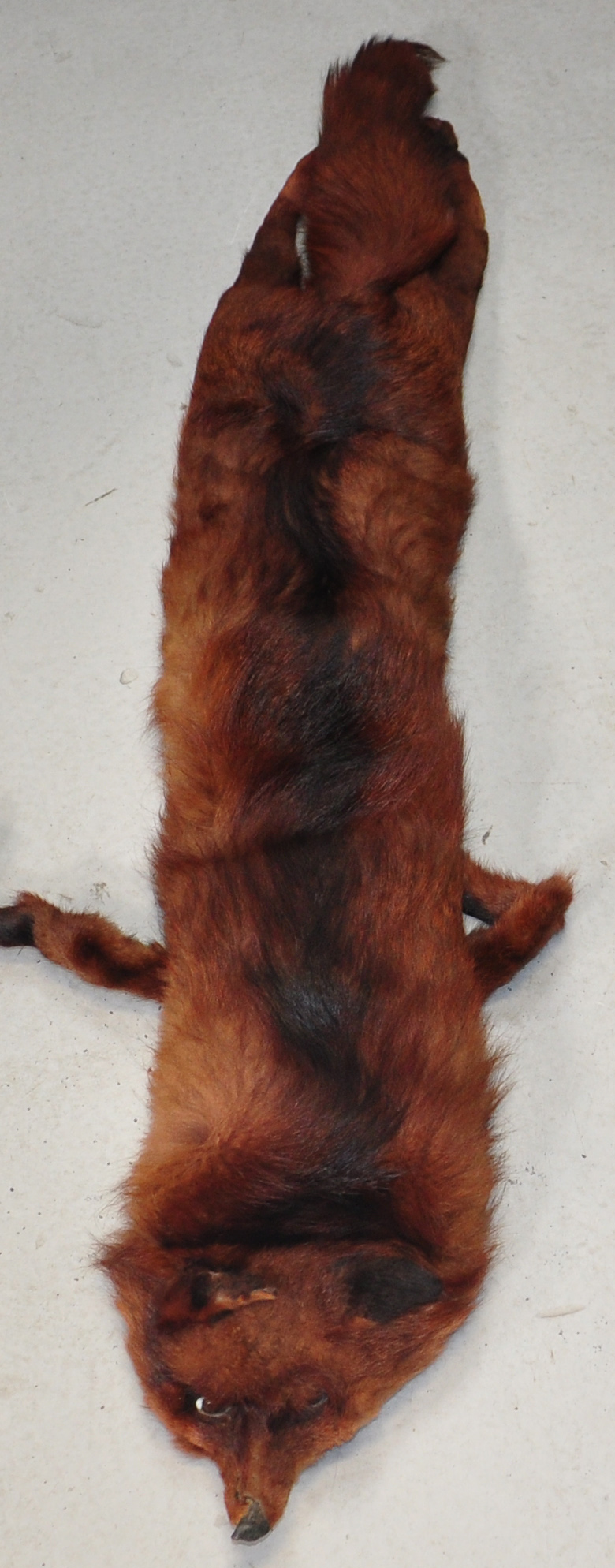A fox fur shoulder wrap retailed by Seko.  CONDITION REPORT Good vintage condition- no visible signs