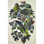 CHARLES FREDERICK TUNNICLIFFE (1901-1979); gouache "Greenfinches on Blackberries", signed,