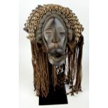 A Dan mask, Ivory Coast, the headpiece adorned with cowry shells and pods,