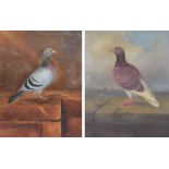 GWQ; a pair of early 20th century oils on canvas, a racing pigeon with ears or corn on a wall,