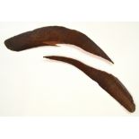 A c.1900 Australian Aboriginal boomerang with incised animal decoration, length 50cm.