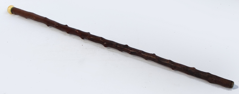 A thorn walking cane with turned ivory pommel, length 99cm.