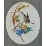 LATE 19TH CENTURY ENGLISH SCHOOL; an oval watercolour, goldfinch, grapes and leaves, unsigned,