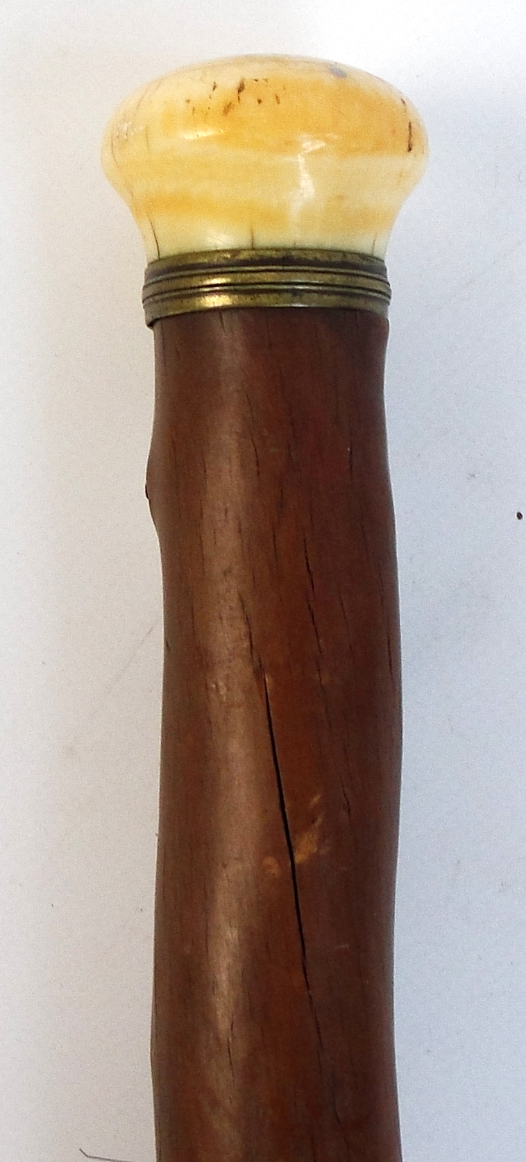 A thorn walking cane with turned ivory pommel, length 99cm. - Image 2 of 2