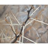 DALE ELLIOTT (South African); oil on board "Patterns in Nature I", a study of a thorn tree branch,